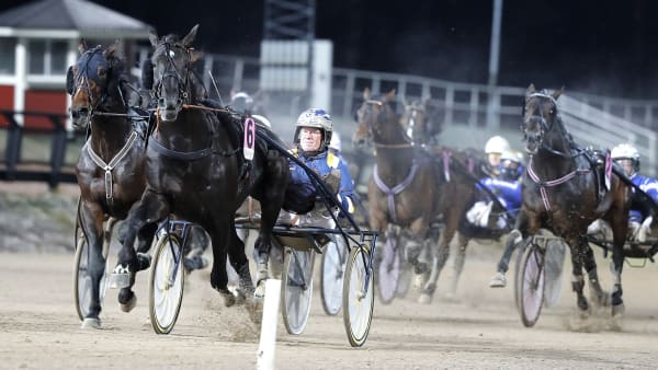 Foto: MICKE GUSTAFSSON/KANAL 75