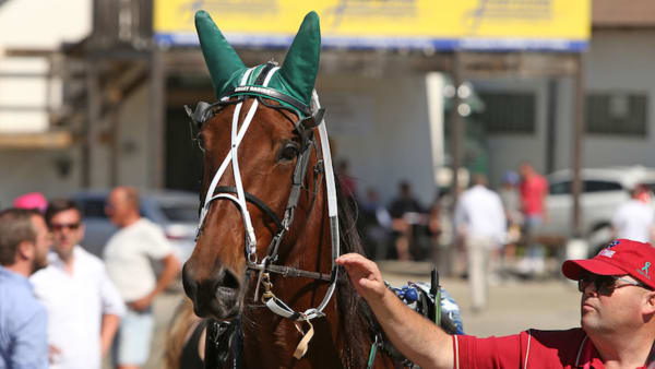 Foto: Matilda Öhrman/TR Bild