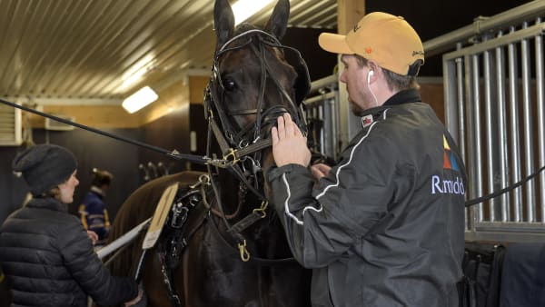 Foto: LARS JAKOBSSON / TR BILD