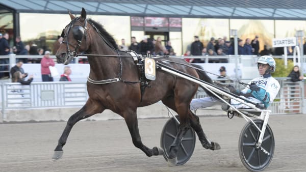 Foto: LARS JAKOBSSON / TR BILD