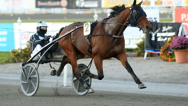 Foto: GIRLPOWER HB/TR BILD