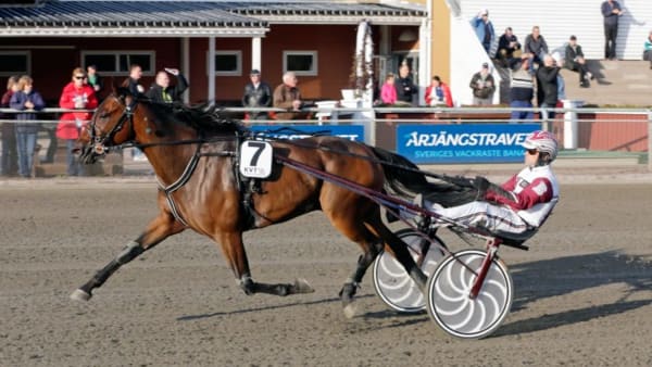 Foto: URBAN KIHLMAN/ALN