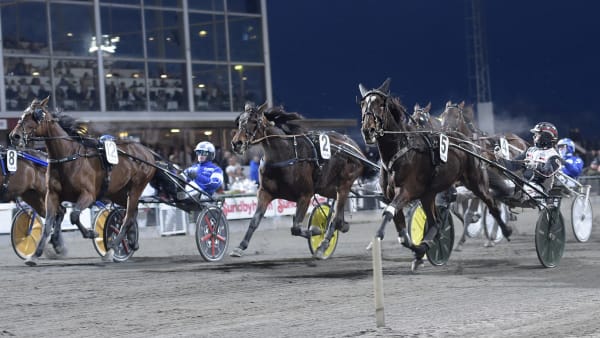 Foto: LARS JAKOBSSON / TR BILD