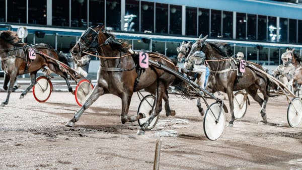 Foto: LENA EMMOTH / TR BILD