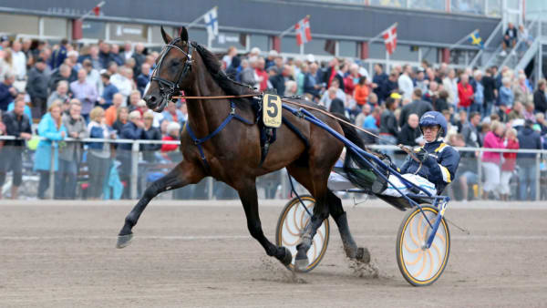 Foto: Mia Törnberg, Travronden