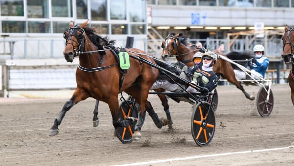 Foto: MALIN ALBINSSON / TR BILD