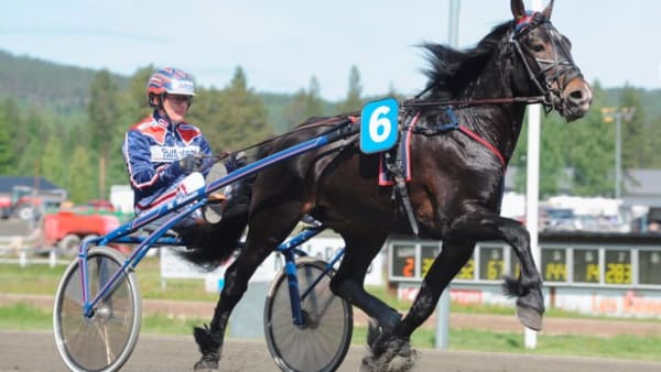 Foto: CHRISTER NORIN/ALN