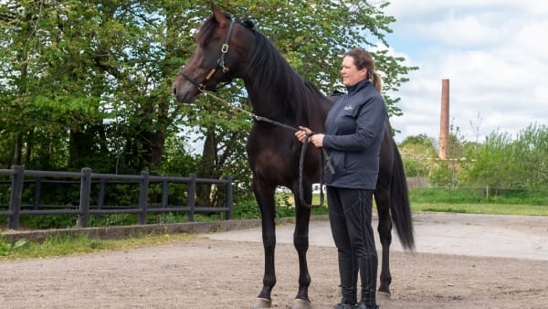 Foto: MIKAEL ROSENQUIST / TR BILD