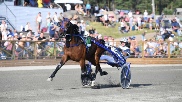 Foto: Malin Albinsson/TR Bild