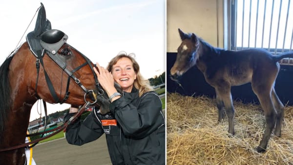 Foto: TR BILD/Privat