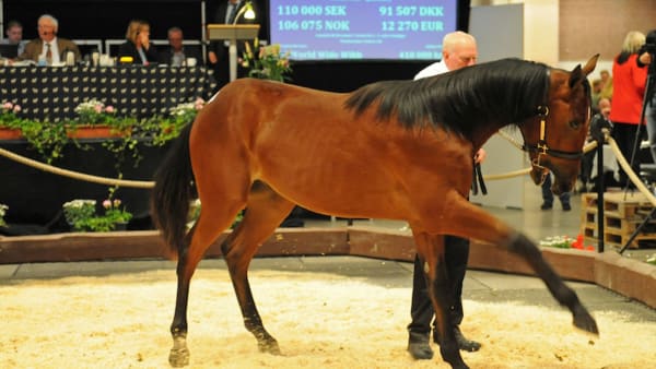 Foto: Claes Kärrstrand/TR Bild