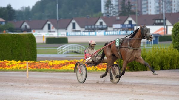 Foto: LARS JAKOBSSON / TR BILD