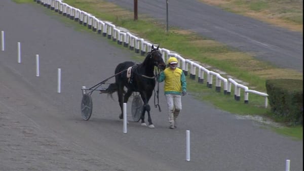 Foto: Ippodromo del Visarno