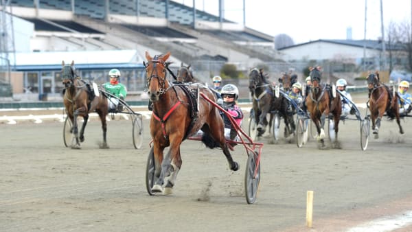 Foto: JÖRGEN TUFVESSON/ALN