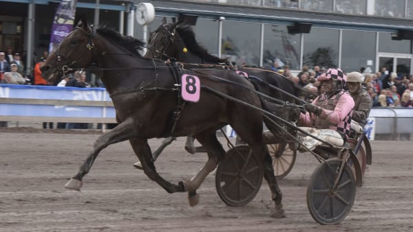 Foto: MAGNUS STRÖMSTEN/ALN