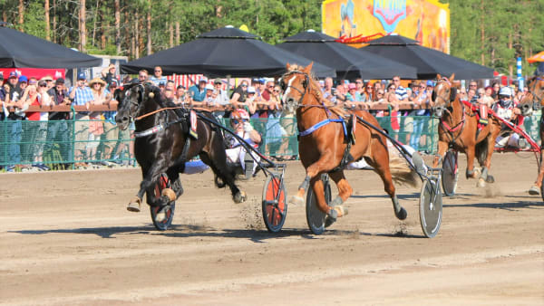 Foto: Anni Järvinen/Suomen Hippos