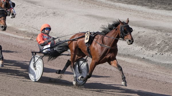 Foto: THOMAS BLOMQVIST / TR BILD