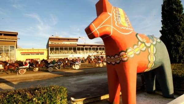 Foto: MICKE GUSTAFSSON/ALN