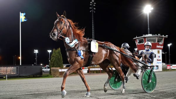 Foto: MARIA HOLMÉN / TR BILD