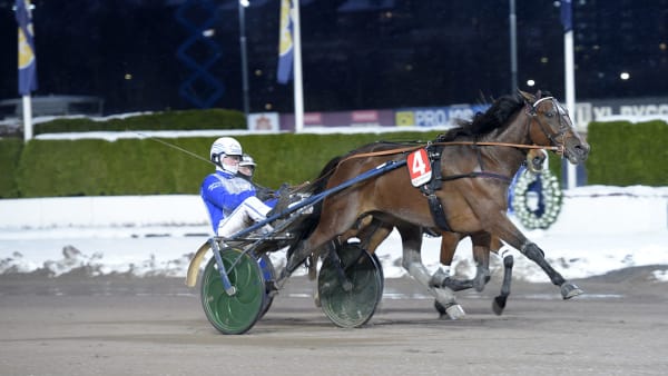 Foto: LARS JAKOBSSON / TR BILD