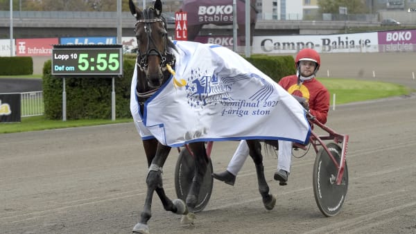 Foto: LARS JAKOBSSON / TR BILD