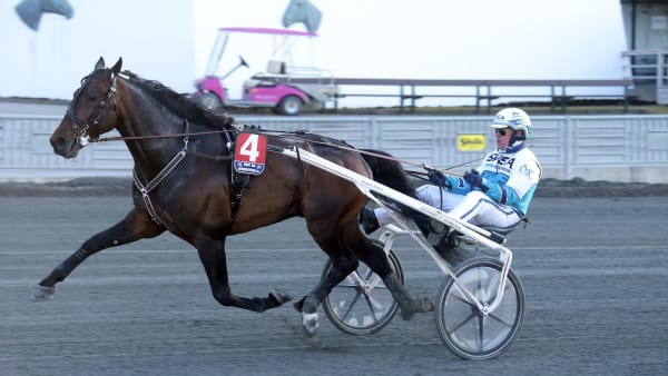 Foto: MARTIN LANGELS/ALN