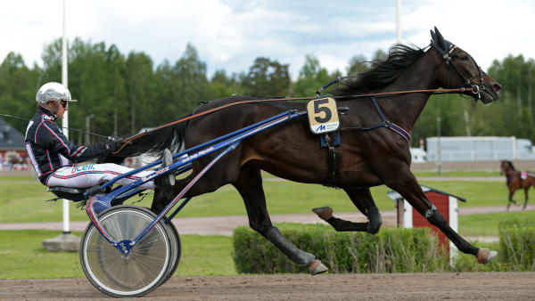 Foto: LENA EMMOTH / TR BILD
