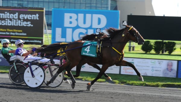 Foto: Adam Ström/Stalltz.se