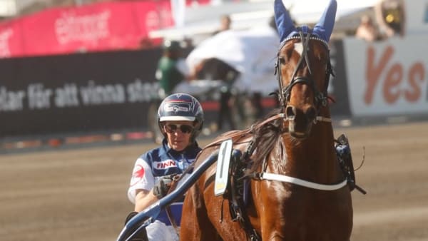 Foto: MICKE GUSTAFSSON/ALN