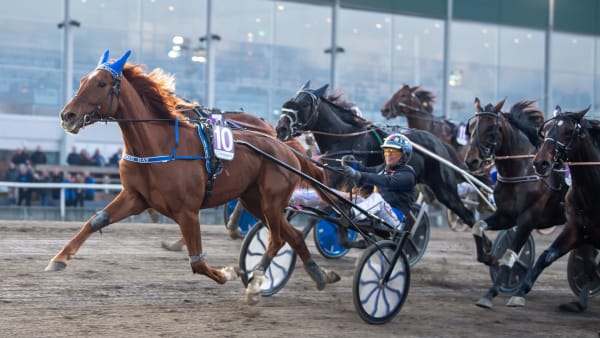 Foto: MIKAEL ROSENQUIST / TR BILD