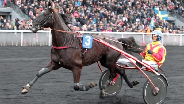 Foto: MIA TÖRNBERG/TRAVRONDEN