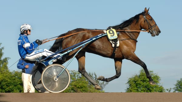 Foto: MARIA HOLMÈN/TR BILD