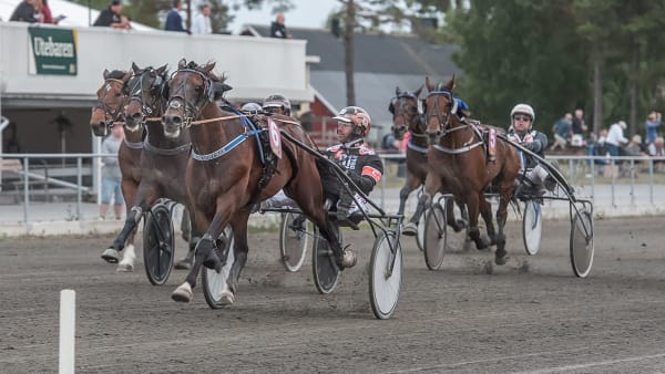 Foto: LASSE OLOFFSON/HÄSTKRAFTER.NU