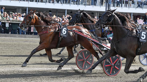 Foto: MALIN ALBINSSON / TR BILD