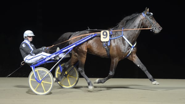 Foto: LARS JAKOBSSON / TR BILD