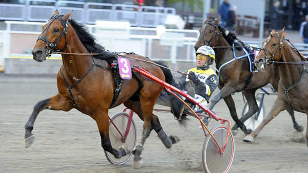 Foto: MARTIN LANGELS/ALN