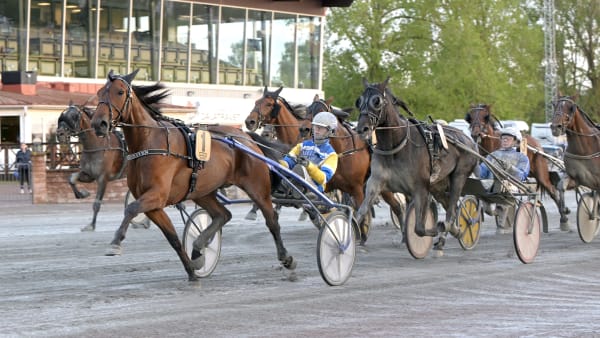 Foto: LARS JAKOBSSON / TR BILD