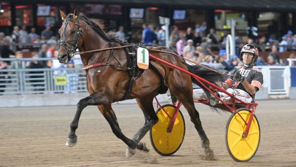 Foto: LARS JAKOBSSON / TR BILD