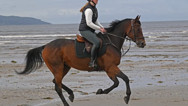 Foto: LARS B PERSSON