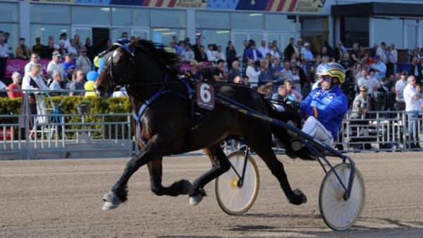 Foto: CHRISTER NORIN/ALN