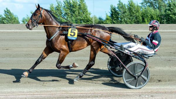 Foto: MIKAEL ROSENQUIST / TR BILD