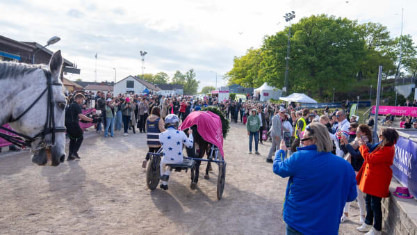 Foto: THOMAS BLOMQVIST / TR BILD