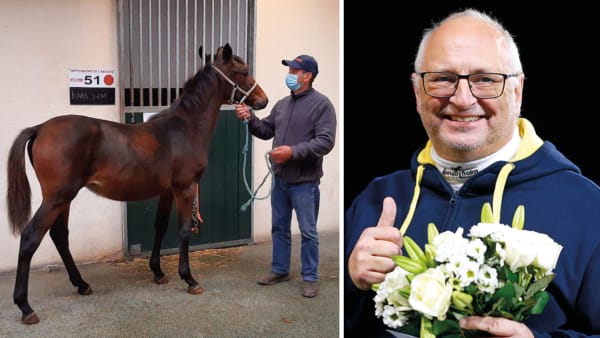 Foto: Privat/Maria Holmén/TR Bild/Montage