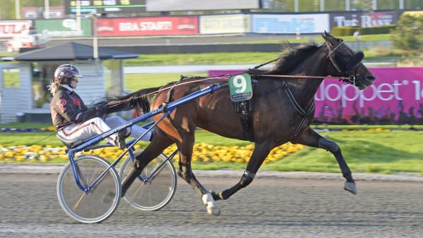 Foto: LARS JAKOBSSON / TR BILD