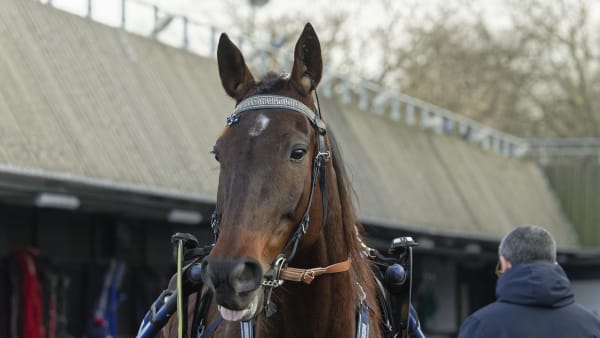 Foto: JEAN-LUC LAMAÈRE/TR BILD