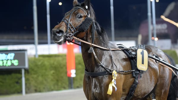 Foto: LARS JAKOBSSON / TR BILD