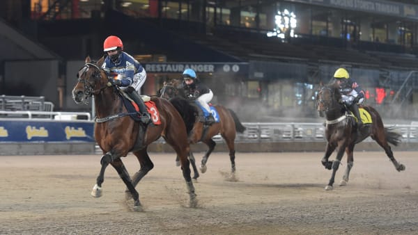 Foto: LARS JAKOBSSON / TR BILD