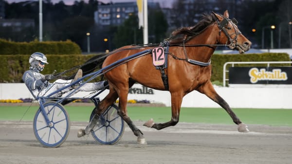 Foto: LENA EMMOTH / TR BILD