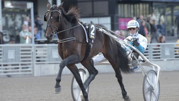 Foto: TR BILD