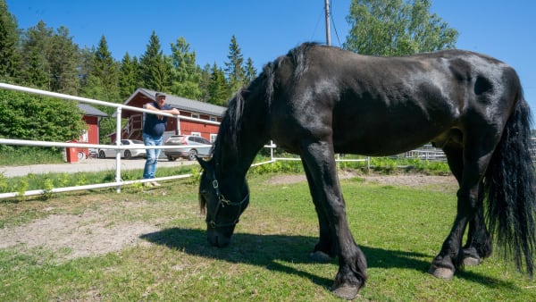 Foto: THOMAS BLOMQVIST / TR BILD